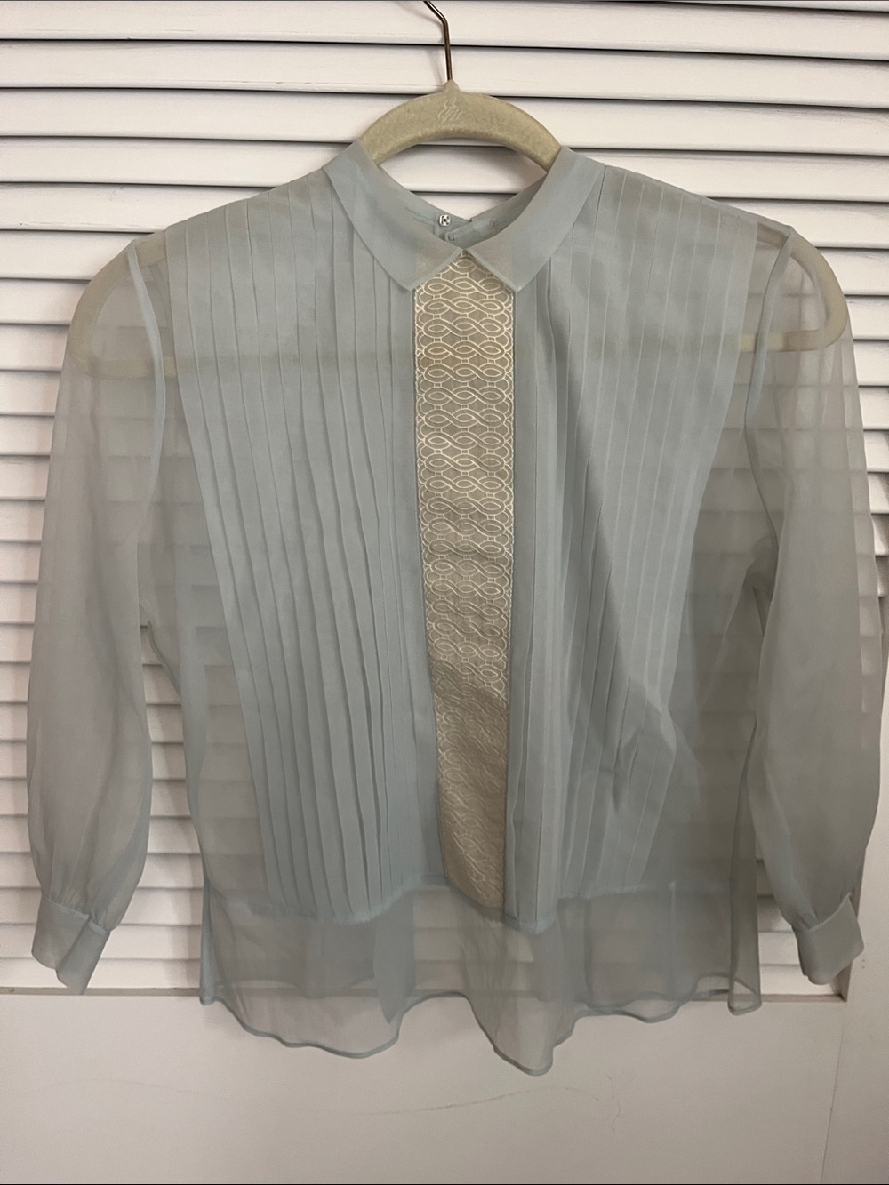 Vintage Sheer Pleated Collar Blouse with Lace Panel - Light Sage